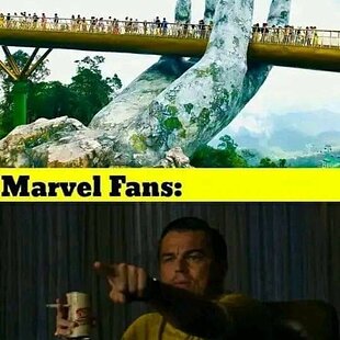 Marvel fans
