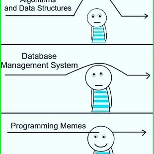 casual programmer's life ig