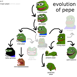 evolutionpepe.png