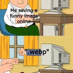 What-are-webp-files-even-for-1703006222831.jpg