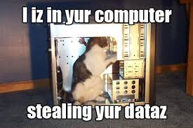 kitty hacker.jpeg